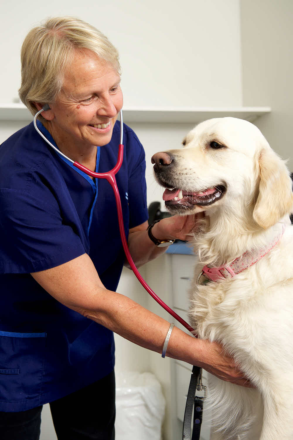 Tips for taking your pet to the vet