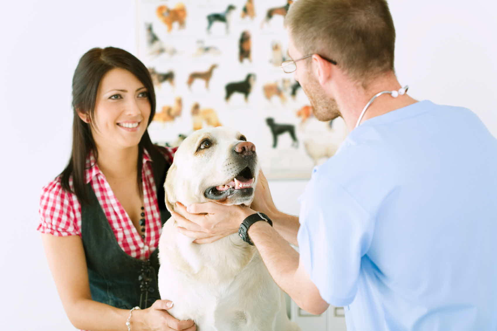 Animal Medicines Australia (AMA) 2021 Report highlights vital role of  veterinarians in society